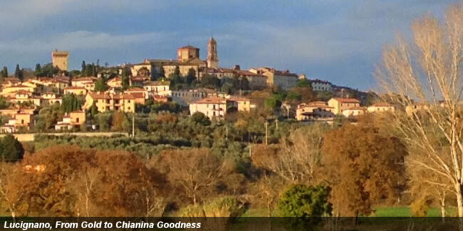 lucignano_chianina_top